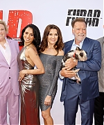 Filename=198.jpg
Filesize=1102KiB
Dimensions=3000x1533
Date added=12.06.25 198.jpg