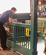 Filename=060.jpg
Filesize=1123KiB
Dimensions=2048x1366
Date added=13.11.25 060.jpg